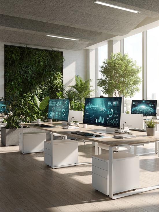 Why Regeneration Workplaces