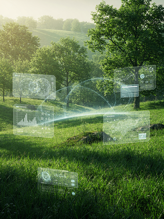 Why Regeneration Workplaces